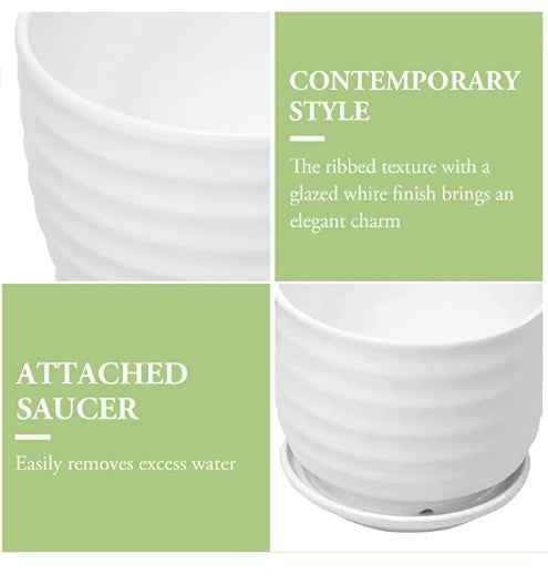 (3 PCS Set options) Ceramic Pot (White) - ring design
