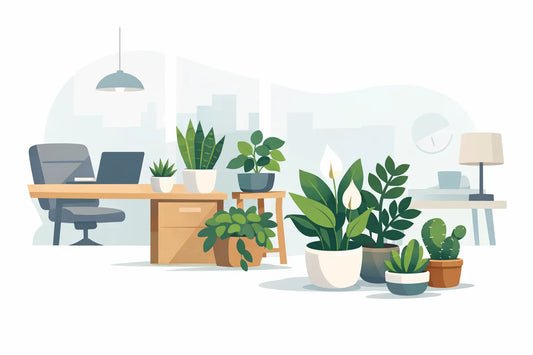10 Low Maintenance Office Plants to Buy