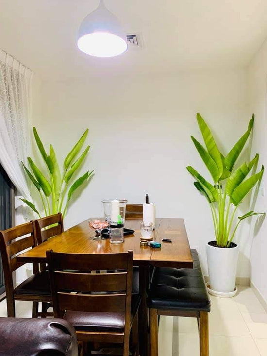 Modern dining room with large potted indoor plants and wooden table under pendant light