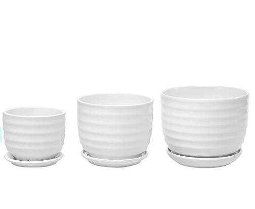 Set of three white ceramic ribbed plant pots with matching saucers, in small, medium, and large sizes.