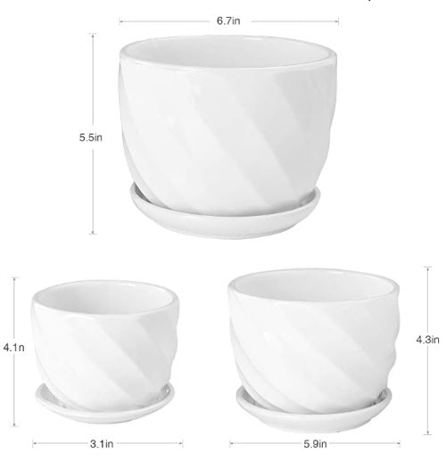 Set of three white ceramic plant pots with saucers, shown with size dimensions for indoor use