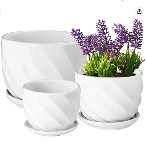 Set of three white ceramic plant pots with drainage trays, one with artificial lavender.