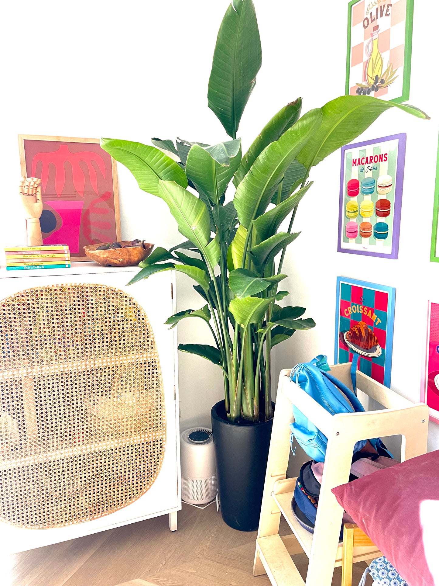 Bird Of Paradise in Matte Ceramic Pot