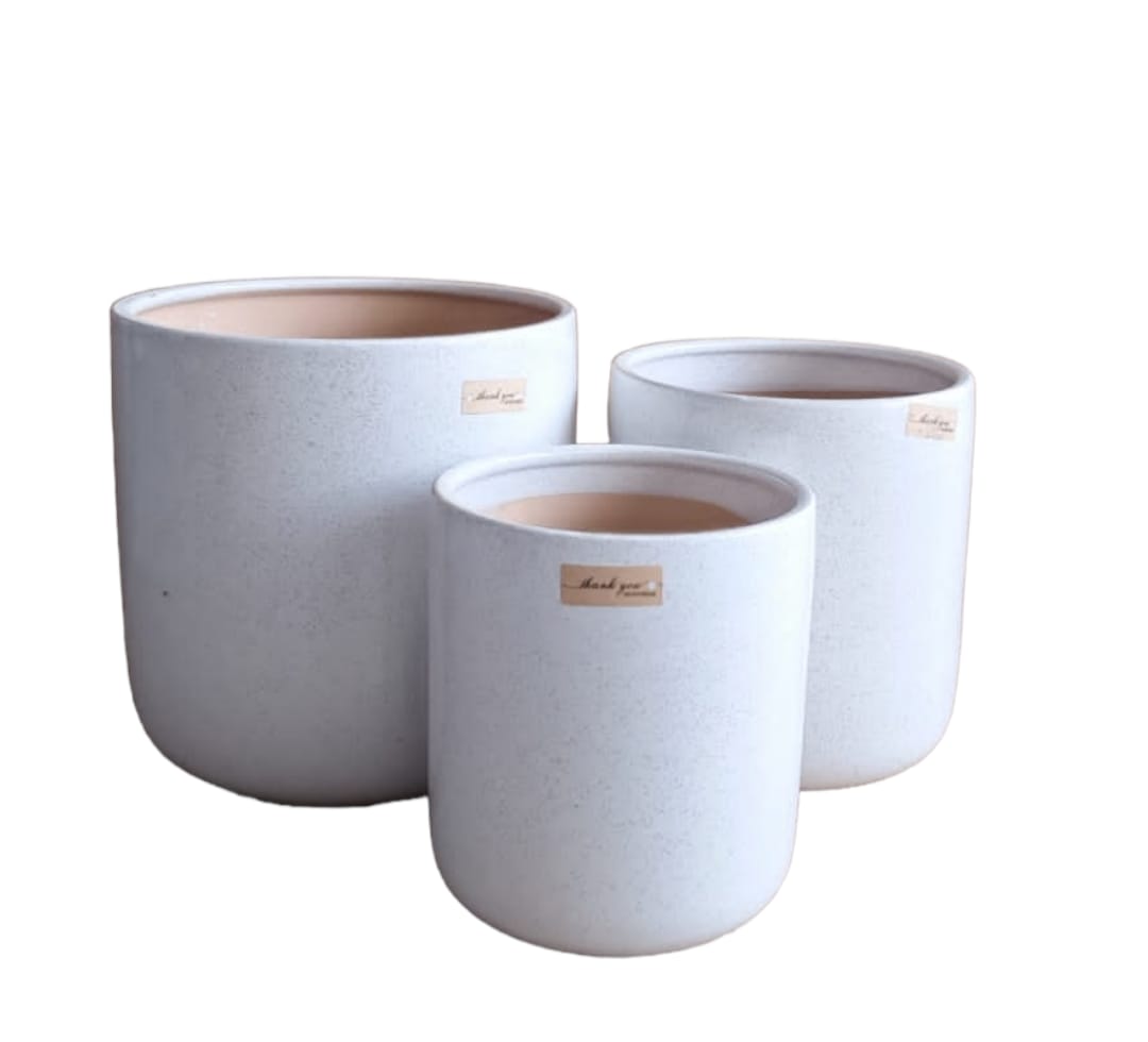 Set of three matte white ceramic plant pots in different sizes on a white background