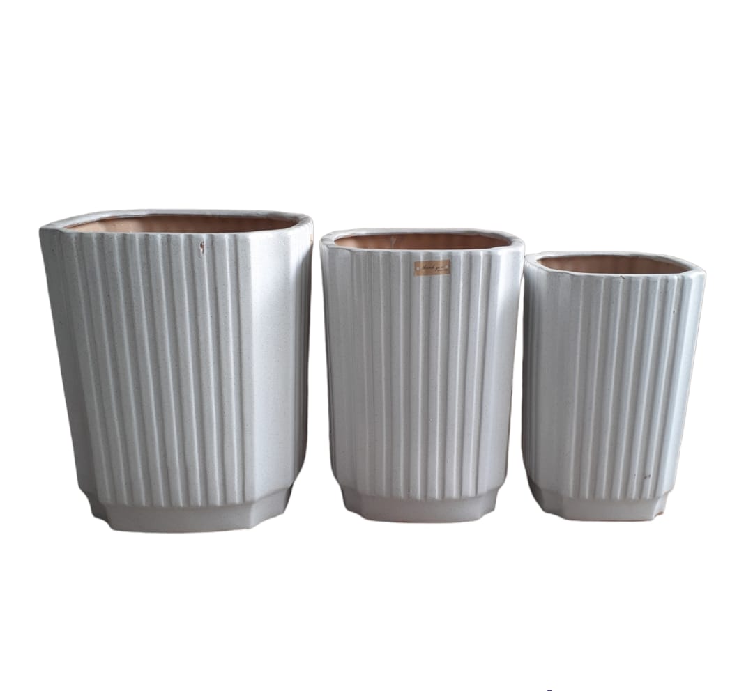 Set of three white ceramic planters with vertical ribbed design, different sizes