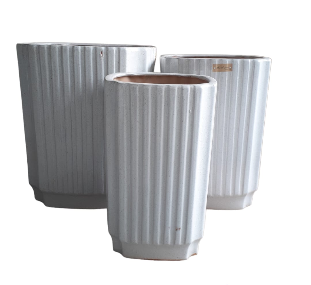Set of three tall white ceramic plant pots with vertical ribbed texture