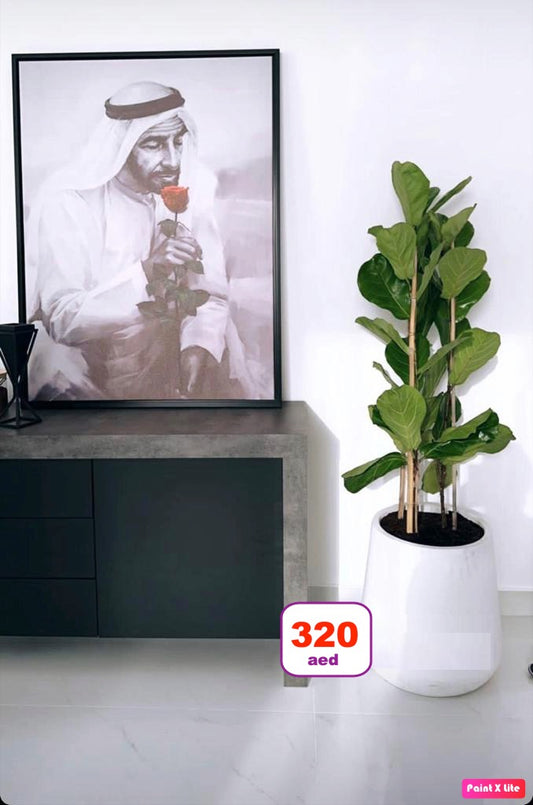 Fiddle leaf fig plant in white pot next to modern cabinet and framed portrait art