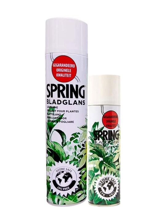 Two cans of Spring leaf shine spray for plants with green foliage design and ozone safe label