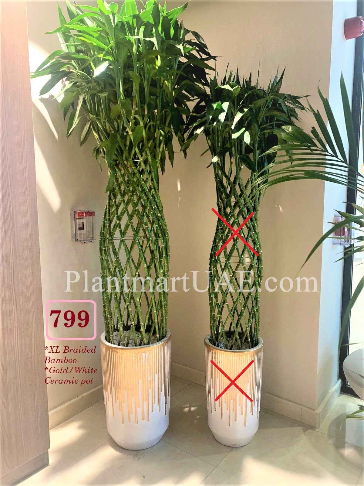 XL Braided Bamboo - CERAMIC pot