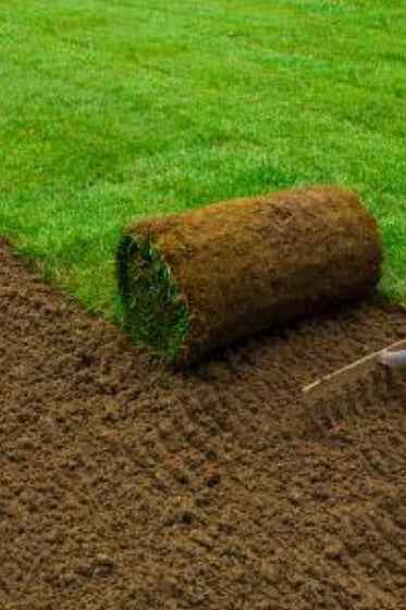 Natural Grass Carpet Roll 1m x1m