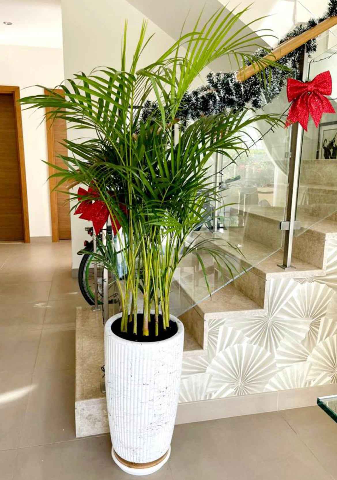 Areca Palm in Marble/Gold Ceramic Pot